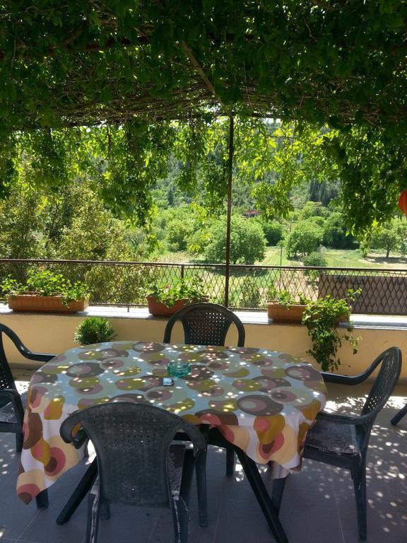 Apartments Darinka Skradin Room photo